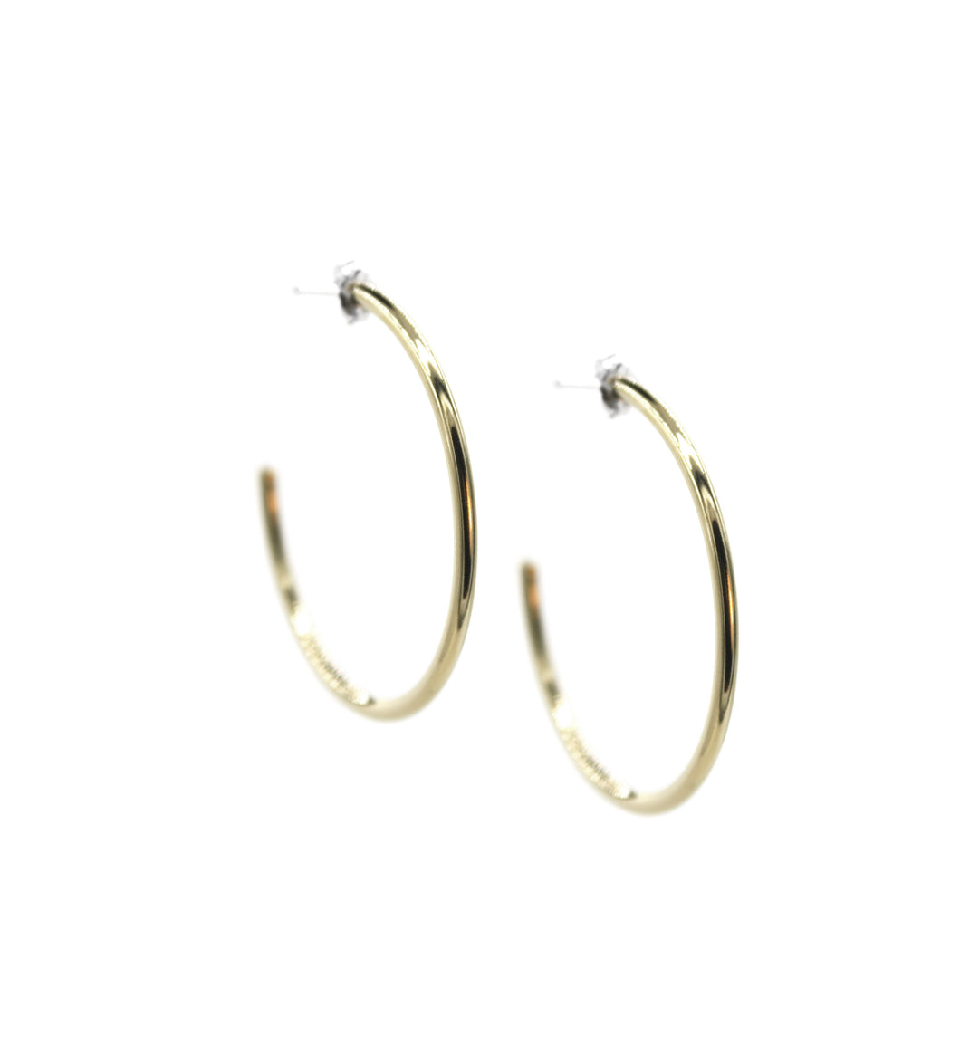 Golden Curve - Brass hoop stud earrings l A Bird Named Frank